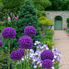 The Ewing and Muriel Kauffman Memorial Garden | 4800 Rockhill Rd, Kansas City, MO 64110, USA