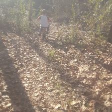 greendale tropical & saltwater