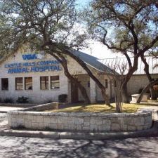 castle hills companion animal hospital