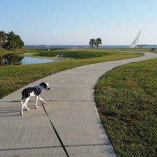Brevard County Marina Dog Park - 501 Marina Rd, Titusville, FL 32796