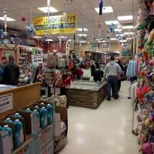 fish for raw fed dogs