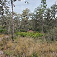 green swamp west gps tracks