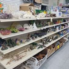 Animal Pantry Pet Store 13720 Cross Bay Blvd 1 Jamaica Ny