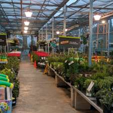 Garden Center At The Home Depot 1933 Davis St San Leandro Ca 94577 Usa