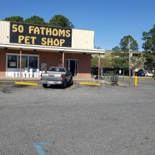 50 fathoms hot sale pet shop