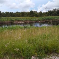 Holey Land Wildlife Management Area - Florida, USA - BusinessYab