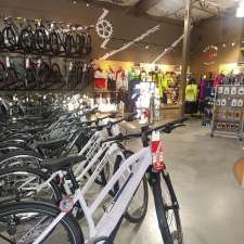 Bike Barn Champions Bicycle Store 6935 Cypresswood Dr Ste D