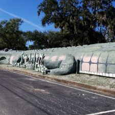 Brooks Brothers Alligator Farm - 26205 E Colonial Dr, Christmas, FL 32709 - Hours, Directions ...