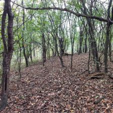 Honey Creek Wildlife Area - Academy Rd, Burlington, WI 53105, USA ...