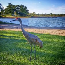 Ottawa Lake Recreation Area - Dousman, WI 53118