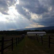 golden view farm