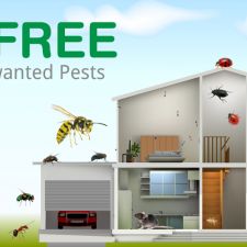 Freedom Pest Control 61 W Main St Merrimac Ma 01860 Usa