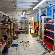 huntington shelter and adoption center