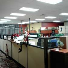 S P Richards Co 6555 Pine Vista Ln Houston Tx 77092 Usa