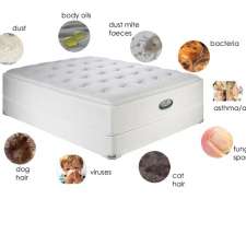 Organic Mattress Cleaning Same Day Service 7865 Mulholland Dr