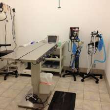 Seminole Trail Animal Hospital 383 Vistawilla Dr Winter Springs