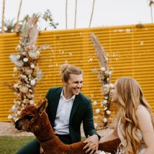 Rah-Rah Ranch, LLC Mobile Petting Zoo & Pony Rides - Oak Hills, CA ...