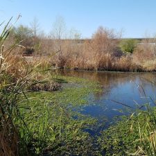 Base & Meridian Wildlife Area, S Avondale Blvd, Tolleson, AZ 85353, USA