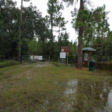 Lake Lizzie Conservation Area in 6800-6808 Midland Dr, St Cloud, FL ...