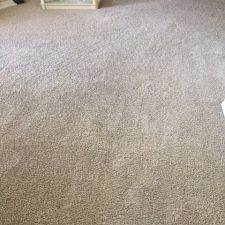 Wheeling Carpet Cleaning Services - Arlington Heights, IL Patch