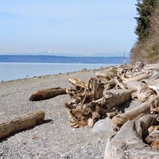 Marine View Park in 20945 Marine View Dr SW, Normandy Park, WA 98166, USA