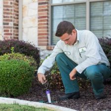 All Safe Pest Termite 1225 Municipal Ave Plano Tx 75074 Usa