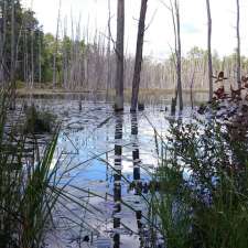 Batona Trail | Tabernacle, NJ 08088, USA