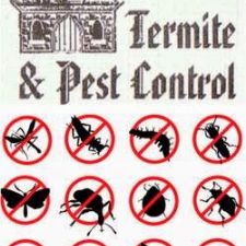 termite control brick township