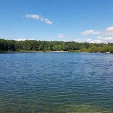 Newton Pond in Greenwood, DE 19950, USA