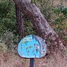 5049 CA-78, Santa Ysabel, CA 92070