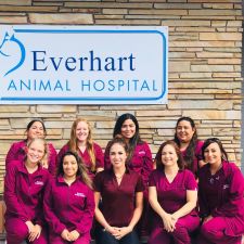 Everhart Animal Hospital - 4232 S Padre Island Dr, Corpus Christi, TX