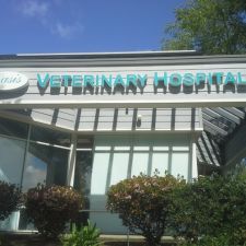 Oasis Veterinary Hospital - 6635 Alhambra Ave #100, Martinez, CA 94553 ...