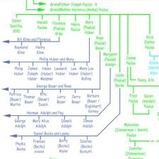 Paulus Family Tree - 86 Mt View Ave, Akron, OH 44303, USA - BusinessYab