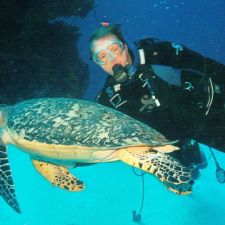 7908 Kingsland Dr, Raleigh, NC 27613