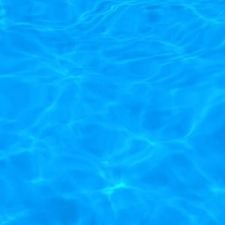 Colorado Clownfish Swim Club