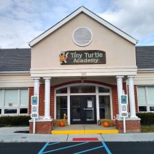 Tiny Turtle Academy