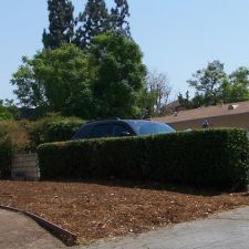 Dove Day School
