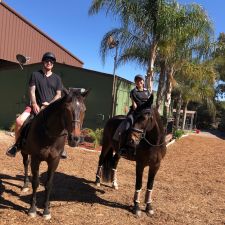 Triana's Dressage Training