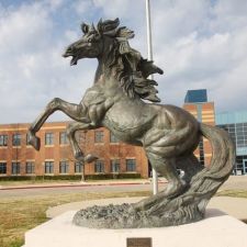 Creekview High School