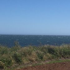 Conservation Annex - UCSC Natural Reserves