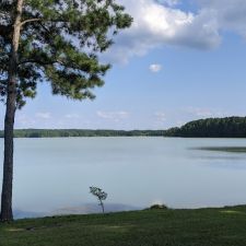 Coble Water Ski School And Wakeboard Camp