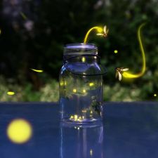 28825 Cragmont Dr, Evergreen, CO 80439