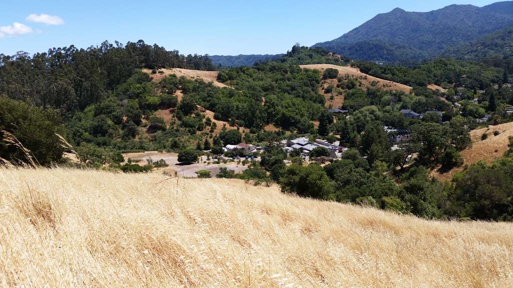 Sorich Ranch Park | San Anselmo, CA 94960, USA