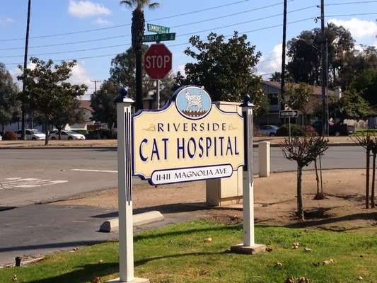 Riverside Cat Hospital | 11411 Magnolia Ave, Riverside, CA 92505, USA | Phone: (951) 785-5287