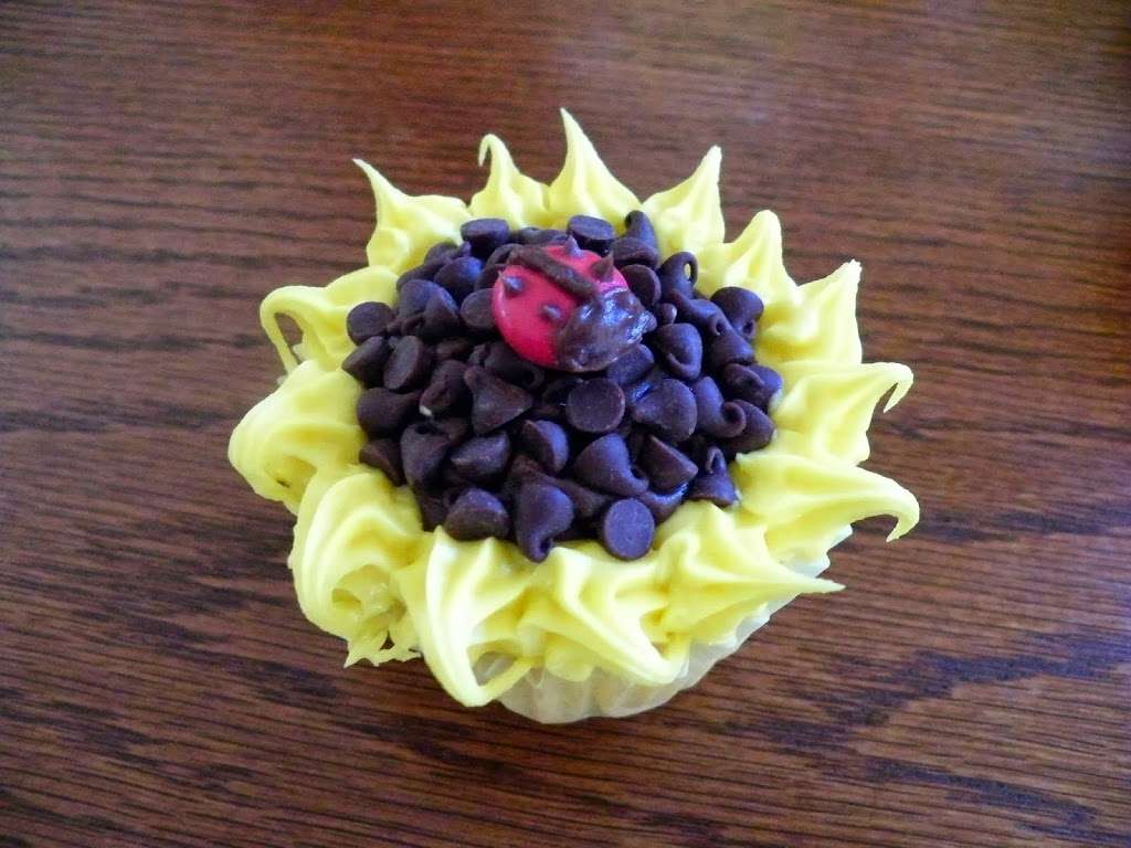 Aidycakes Cupcakes | Red Pine Rd, Dingmans Ferry, PA 18328, USA | Phone: (570) 828-7950