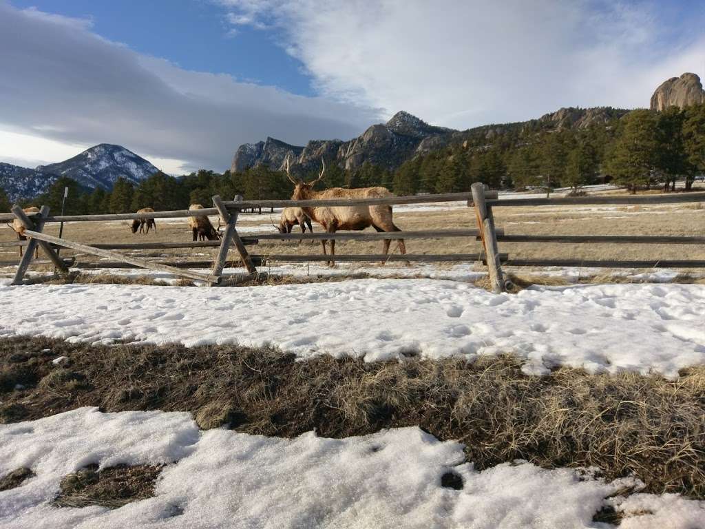 Spruce Lake | Estes Park, CO 80517, USA