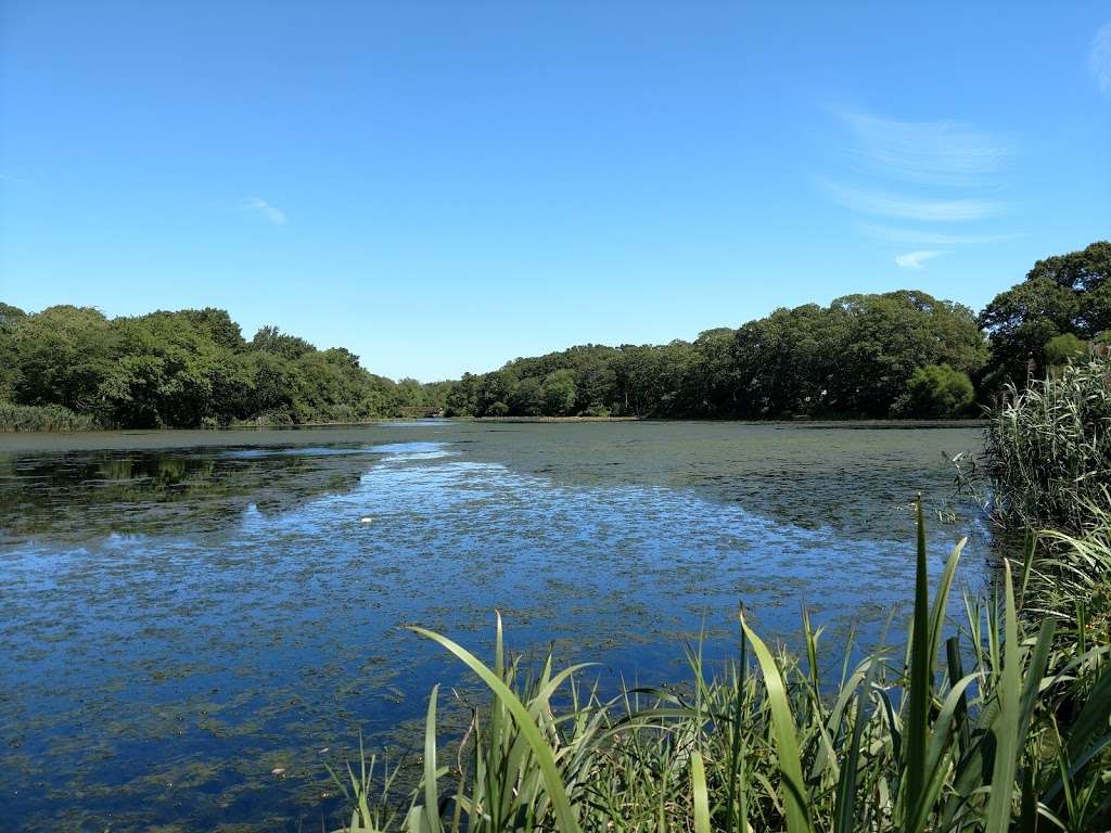 Massapequa Preserve | Oyster Bay, NY, USA