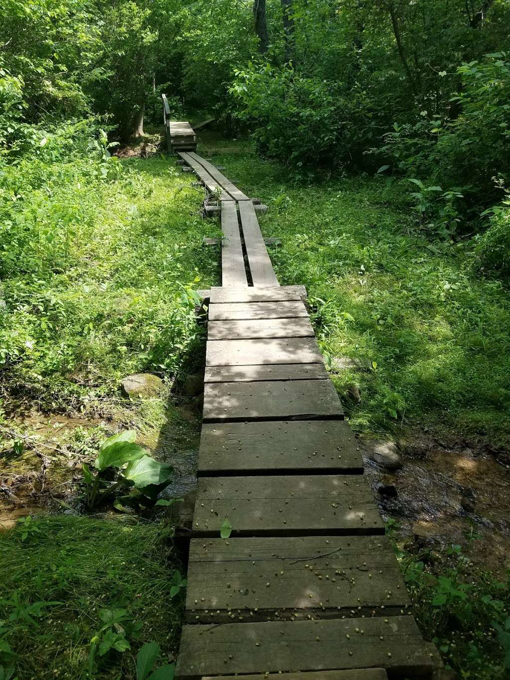 Trumbo Hollow Hike Trailhead - Appalachian Trail | 13167 John Marshall Hwy, Linden, VA 22642