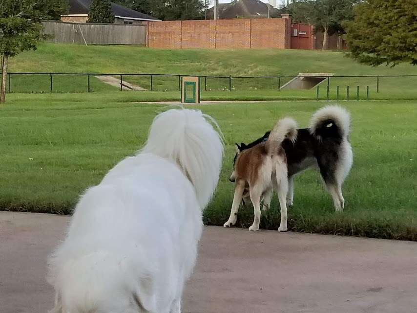 Riverstone Dog Park | Sugar Land, TX 77479, USA