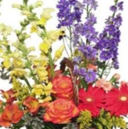 Pleasing Petals Flower Shop | 21311 FM 2100, Crosby, TX 77532, USA | Phone: (281) 324-7673